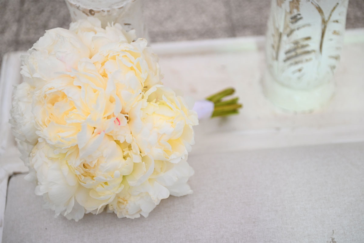 Lucia Foglia Studio Fotografico